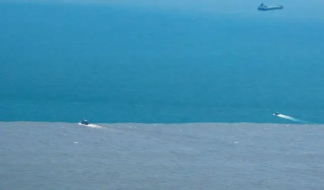 Потепление препятствует защите кораллов, но голодная рыба ее усиливает