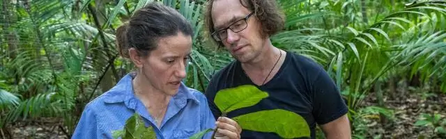 Инструмент для понимания того, как экосистемы реагируют на изменение климата