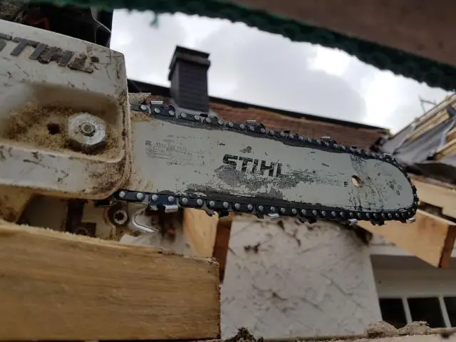 Северные леса потеряли критические холодные и снежные условия