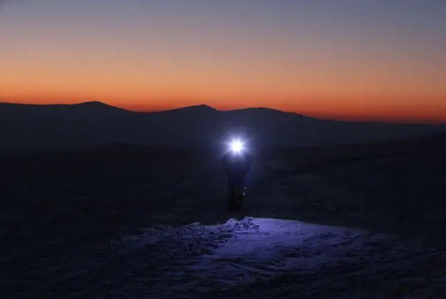 Daddy daycare: почему некоторые певчие птицы заботятся о «неправильных» детях