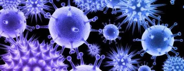 Слабое место патогенных бактерий: белковый комплекс ClpX-ClpP может стать отправной точкой для новых антибиотиков