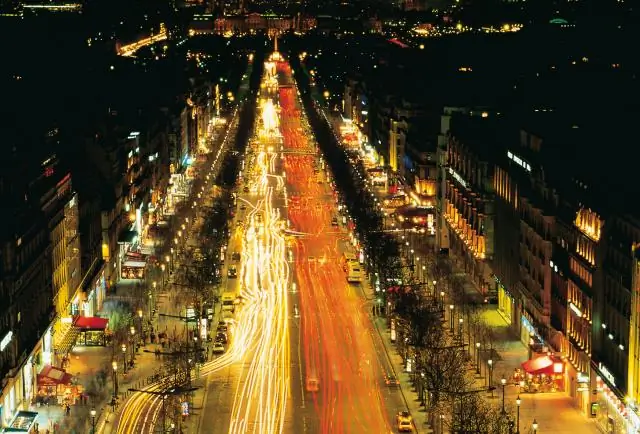 Близость к тропинкам и дорогам является обузой для орланов-белохвостов