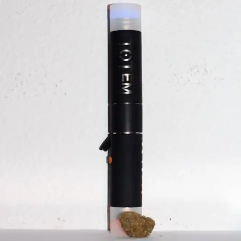 Формирование клубеньков связано с более высокой устойчивостью бобовых к мучнистой росе