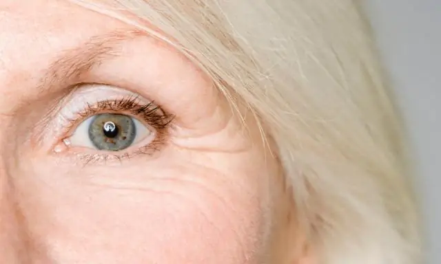 Машинное обучение помогает науке о растениях открыть новую страницу: ученые используют алгоритмы машинного обучения для автоматизации исследований растений