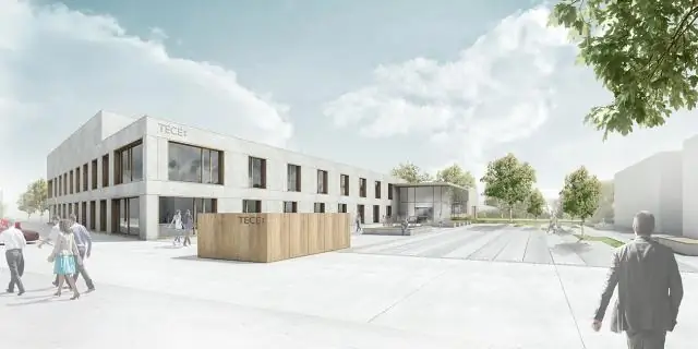 Двойной подход необходим для спасения тонущих городов и обесцвечивания кораллов