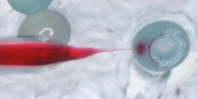 Откладывая яйца, бражники табачные избегают растений, пахнущих фекалиями гусениц: обонятельный корецептор позволяет бабочкам избегать внутривидовой конкуренции