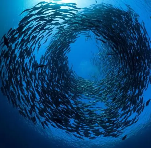 Теплая океанская вода атакует края шельфовых ледников Антарктиды: недавно выявленные факторы делают шельфовые ледники более уязвимыми для разрушения