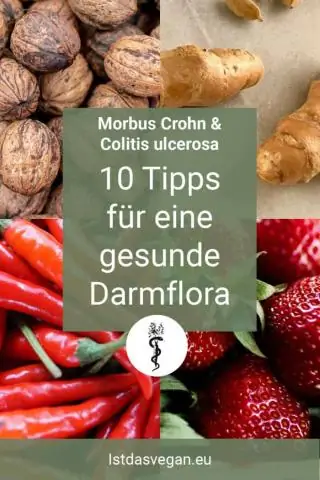 Новое исследование анализирует программу выкупа жилья, финансируемую FEMA: советы по пересмотру финансируемой из федерального бюджета управляемой программы отступления