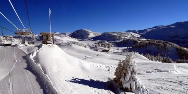 Воздействие шумового загрязнения, вызванного деятельностью человека, на птиц: исследователи изучают ценность анализа на всем континенте
