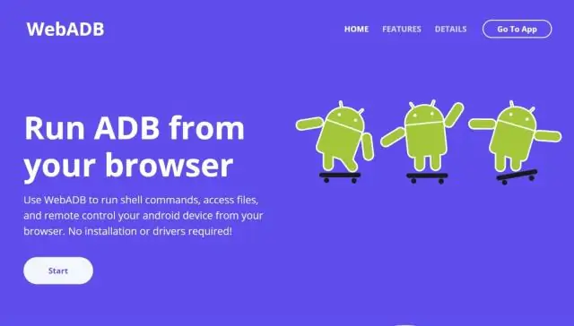 Новый инструмент позволяет промыслу омаров в Новой Шотландии бороться с последствиями изменения климата