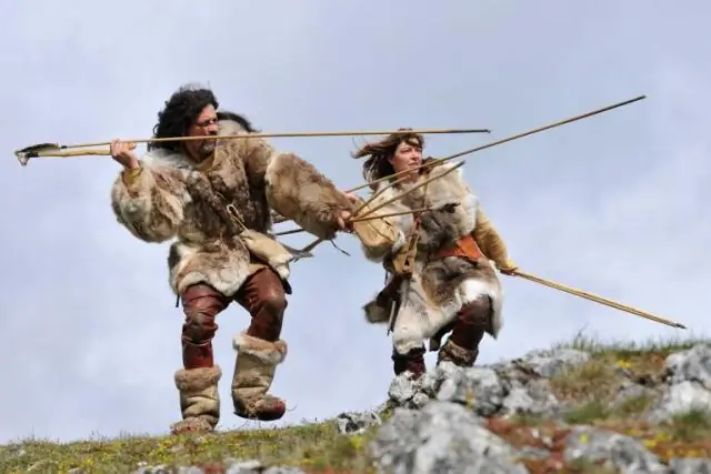 Эволюционная история дубов