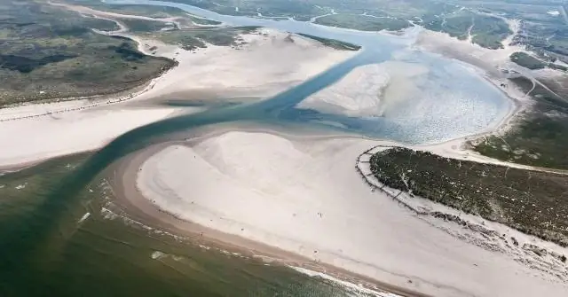 Озера во всем мире страдают от более сильного цветения водорослей: изменение климата, вероятно, препятствует усилиям по восстановлению