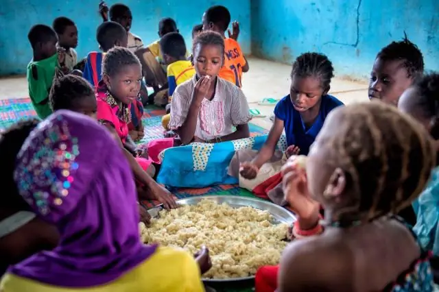 Генетика, чтобы накормить мир