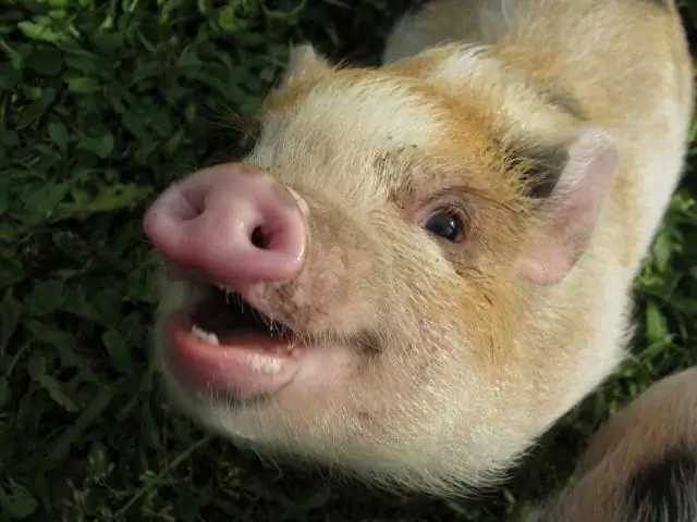 Хулиганы могут приходить и уходить, но «молекулярная память» о том, что они были мишенью, остается