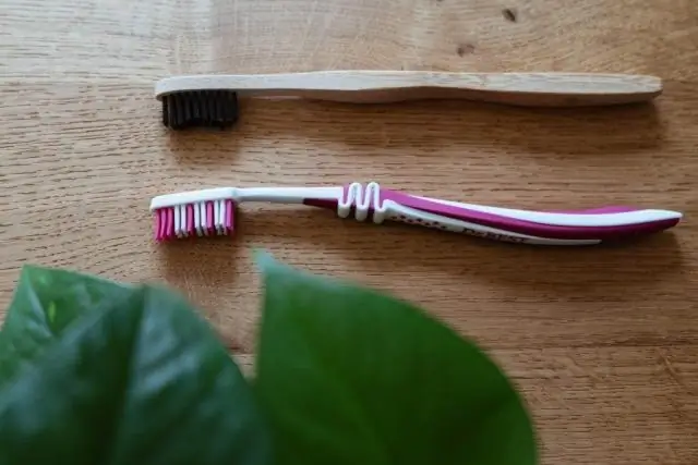 Рыбы-пираньи одновременно меняют старые зубы на новые