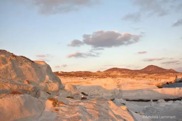 Луна определяет, когда перелетные птицы направляются на юг