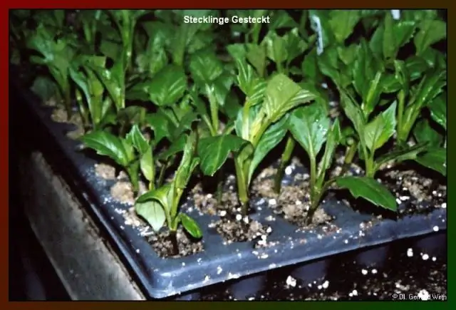 Разрушение молекул воды для получения чистого топлива: исследование многообещающего материала