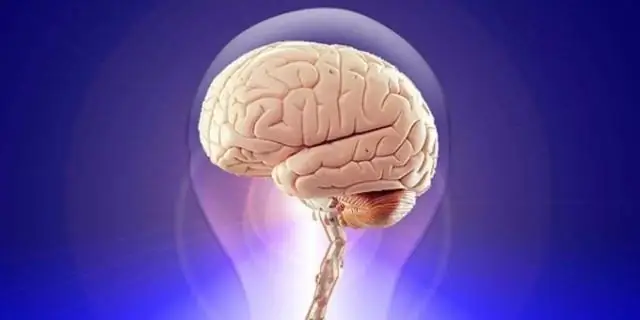 Ученые раскрывают тайну репликации ДНК