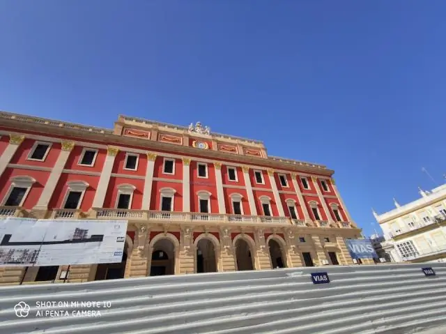 Филогенетический анализ заставляет переосмыслить эволюцию термитов