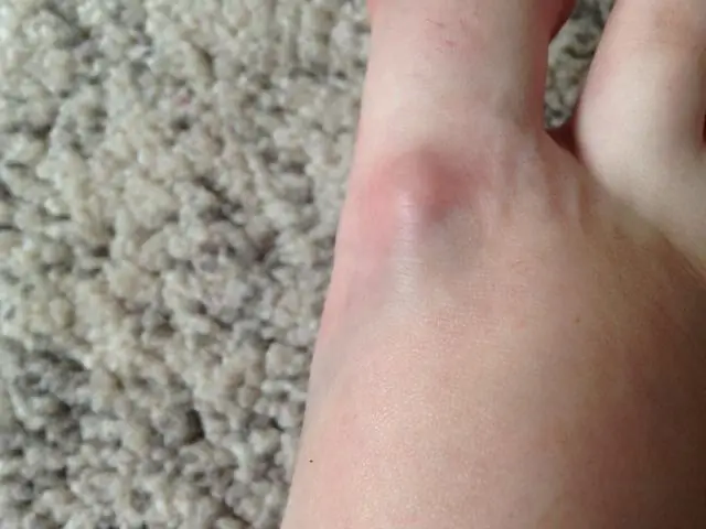 Все пластиковые отходы могут стать новым высококачественным пластиком благодаря усовершенствованному паровому крекингу