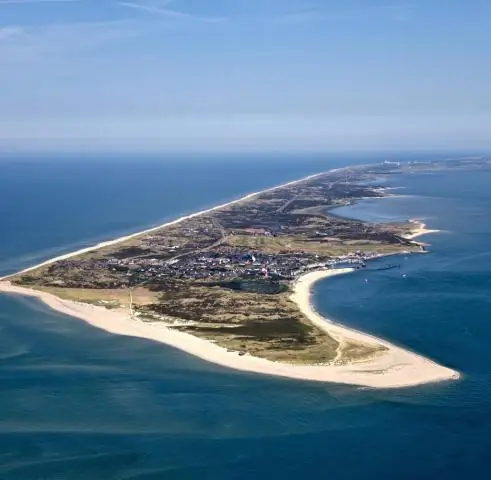 Катастрофические события переносят леса деревьев за тысячи миль к захоронению в море