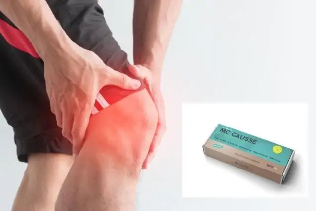 Биологический материал повышает производительность солнечных батарей