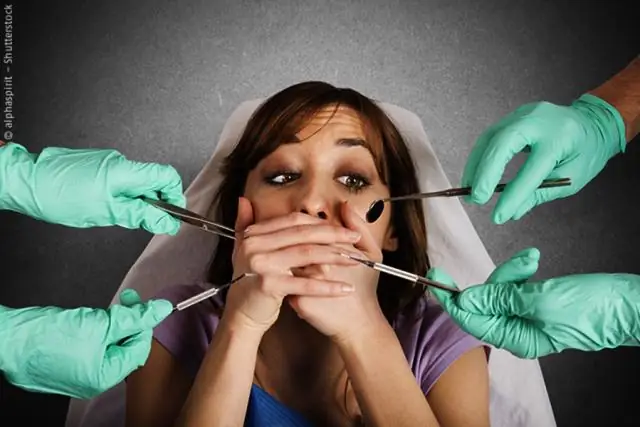 Ученые рекламируют прогресс в области защиты океана, дают дорожную карту для большего