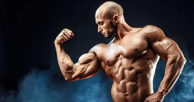 Стратегии вируса медоносной пчелы