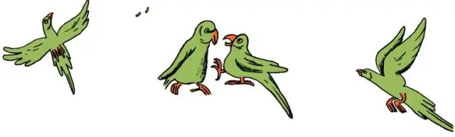 Новые данные об эволюции растений и происхождении видов