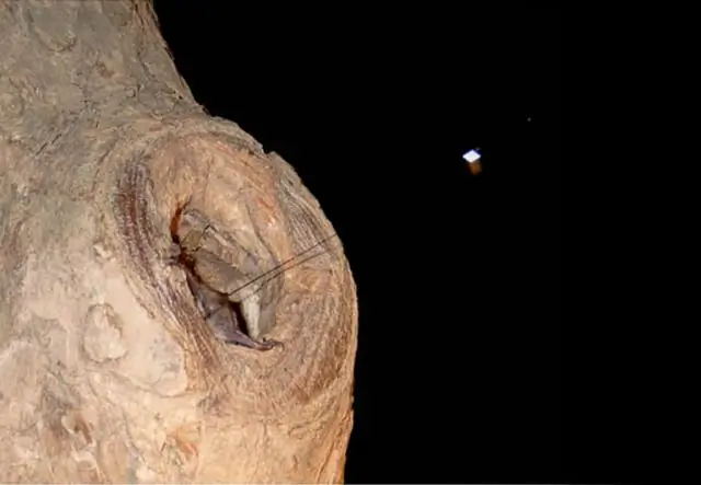 ГИС-анализ геометрии зоны разлома и опасности в городской среде