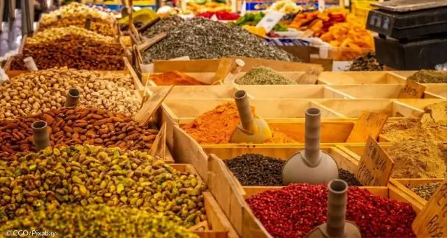 Новое исследование раннего приобретения человеком огня подавляет дебаты: доказательства показывают, что способность создавать огонь появилась раньше, чем предполагалось изначально