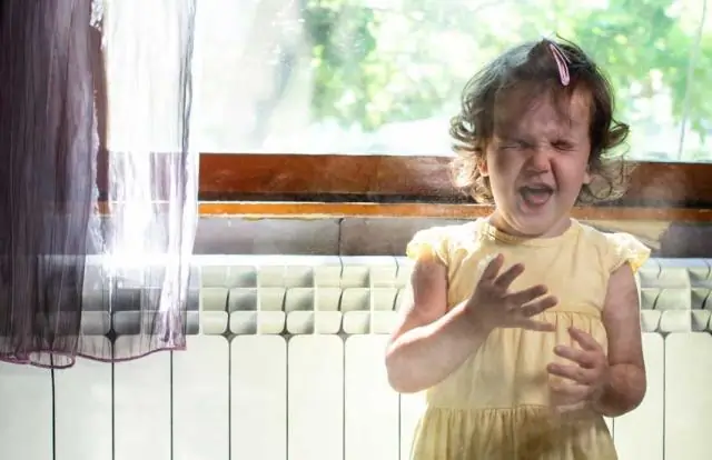 Порожденные огнем лесные грибы прячутся в других организмах