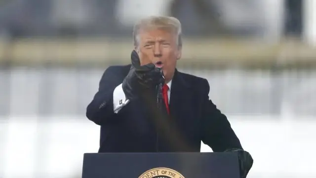 Первое углубленное исследование морских грибов и их циклов клеточного деления