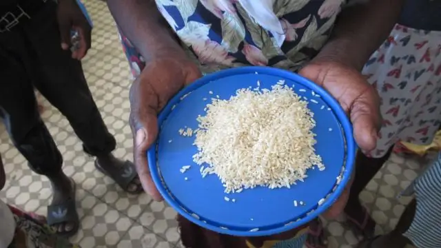 Сильная засуха останавливает размножение медноголовых змей, показало исследование