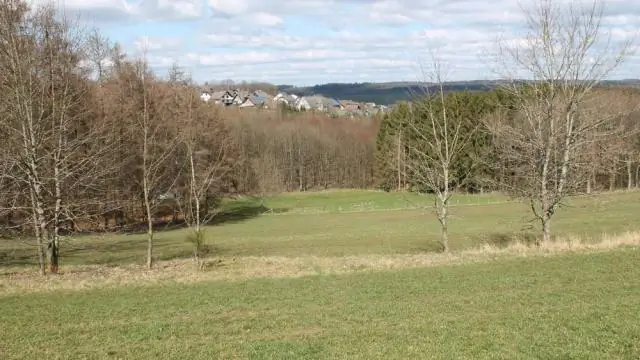 Исследования больших штормовых волн могут помочь уменьшить их воздействие на побережье