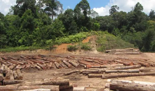 В Юго-Восточной Азии незаконная охота представляет большую угрозу для дикой природы, чем деградация лесов