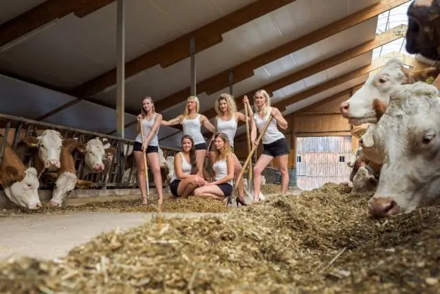 После выпуска в дикую природу летучие мыши-вампиры сохраняют «друзей», заведённых в неволе