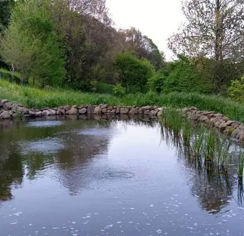 Сточные воды от нефти и газа, используемые для орошения, могут подавлять иммунную систему растений: новое исследование ставит под сомнение идею использования подтоварной воды для орошения