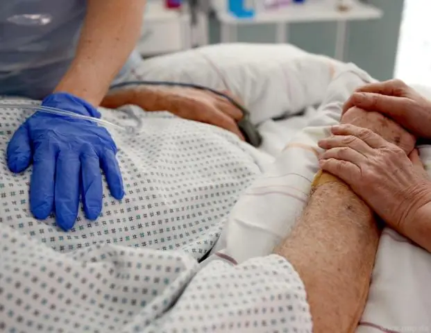 Электрификация науки: новое исследование описывает проводимость через белки