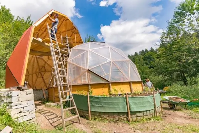 Культивирование эмбрионов приматов, чтобы узнать больше о развитии человека