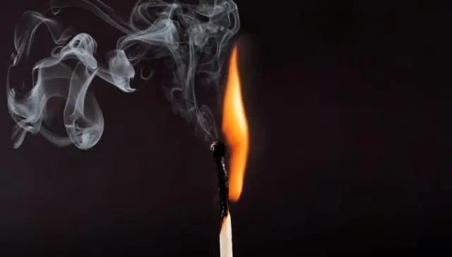 Онлайн-инструмент ускоряет реагирование на браконьерскую охоту на слонов, отслеживая источник слоновой кости