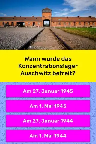 Застрявшие в польском бункере ядерного оружия древесные муравьи-каннибалы нашли дорогу домой