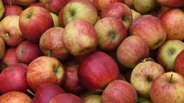 Конкуренция за урожай как стратегия борьбы с сорняками