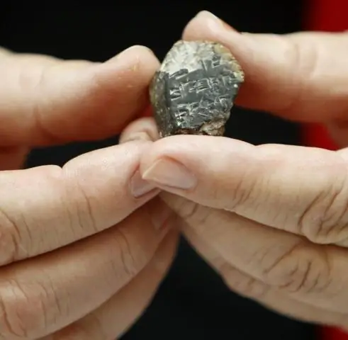 Древний костный белок показывает, какие черепахи были в меню во Флориде, Карибский бассейн