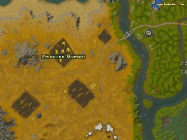 Пир или голод: ученые нашли ключевой биологический «переключатель», который помогает клеткам адаптироваться