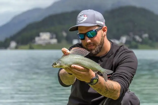 ПФАВ из лыжного воска биоаккумулируются на скандинавском курорте