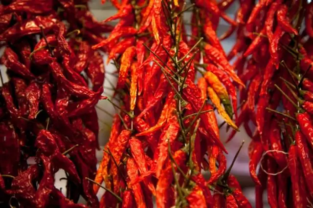Как меняются острые (и не очень острые) соединения в перце чили во время созревания