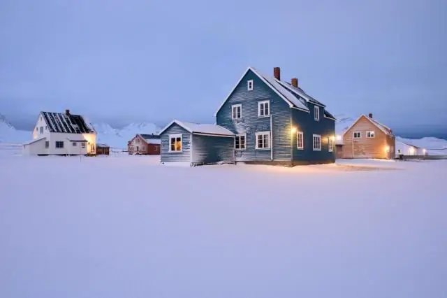 Количественная биология открывает путь к экологическим исследованиям и предсказаниям эволюции: два исследования раскрывают новое понимание перемещения популяций бактерий