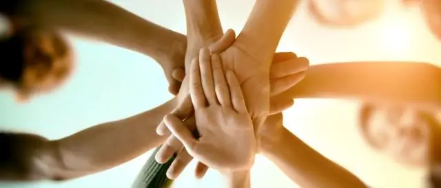 Таргетная модификация генов при патогенном хламидиозе животных