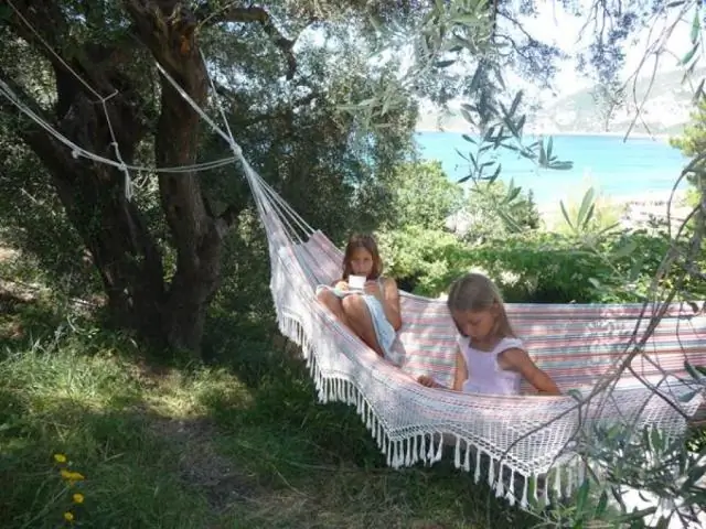 Эволюционное разнообразие связано с продуктивностью лесов Амазонки